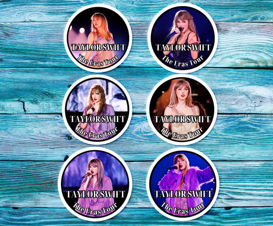 Taylor Swift Eras Tour Sticker Pack B - 6 Stickers!